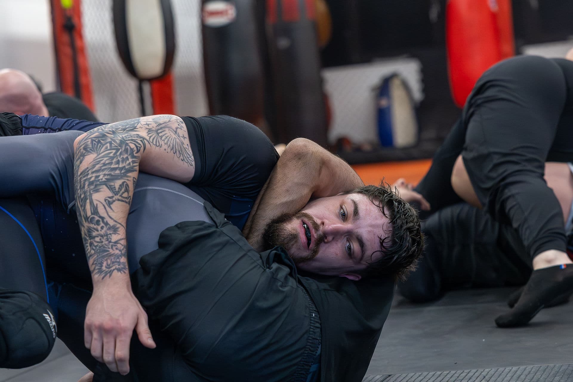 Ground work and submissions