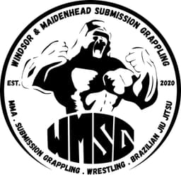 WMSG Logo